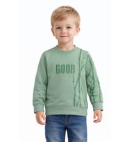 Erkek Çocuk Önü Arkası Baskılı Sweatshirt BGL-ST05240