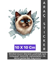 Özel Tasarım Araç Dış Modifiye Eğlenceli Yaratıcı Şık 3D Evcil Hayvan Kedi Köpek Sticker 10 X 10 Cm