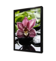 Spa Taşları ve Orkide Çerçeveli Cam Tablo