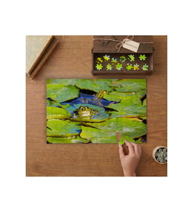 Göldeki Sevimli Kurbağa Tasarımı 240 parça Ahşap Puzzle Ahşap Kutuda MP05224