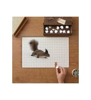 Yürüyen Sevimli Sincap Tasarımı 240 parça Ahşap Puzzle Ahşap Kutuda MP03590