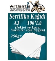 A3 Sertifika Kağıdı Kalın 100 Adet Gramajlı Fotokopi Kağıdı 250 gr Tüm Yazıcılara Uyumlu 29.7x42 cm Kalın Baskı Kağıdı (Beyaz)
