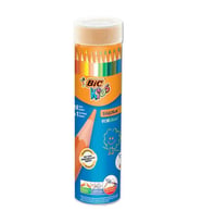 Bic Evolution Kuru Boya Kalemi 24+1 Renk Metal Tüp (958190)