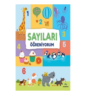 Sayıları Öğreniyorum (Ciltli)