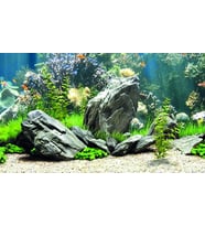 Kanki Pet KP8550034 Akvaryum Arka Fon Yapıştırma 85 x 50 CM
