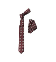 Cengiz İnler Puantiye Desenli Mendilli İnce Mikrofiber Erkek Kravat Aksesuar (Gri)