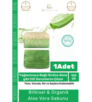 Özel %100 Doğal Koku Yüz Cilt Beyazlatıcı Organik Nemlendirici Kabak Lifli Aloe Vera Sabunu 1 Adet