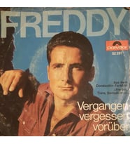 Freddy Vergangen Vergessen Vorüber 45lik Plak (Karışık)