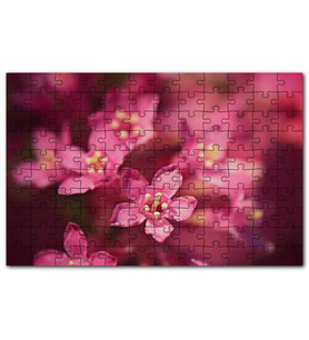 Cakapuzzle Sarı Tohumlu Kırmızı Çiçekler Yakın Çekim Puzzle Yapboz MDF (Ahşap) (120 Parça)
