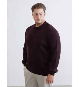 LCWAIKIKI Classic Bordo Polo Yaka Erkek Triko Kazak