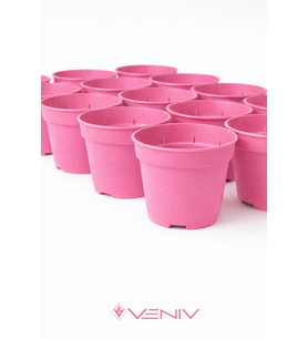 10 Adet Saksı Yetiştirme Çoğaltma Saksısı 8.5 cm