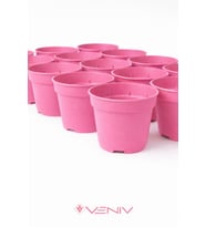 10 Adet Saksı Yetiştirme Çoğaltma Saksısı 8.5 cm