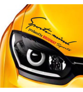 Renault Broadway Sports Mind Far Üstü Oto Sticker