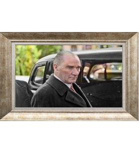 GÜMÜŞ ÇERÇEVELİ TABLO N896
