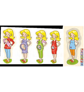 HAMİLE GELİŞİM PUZZLE