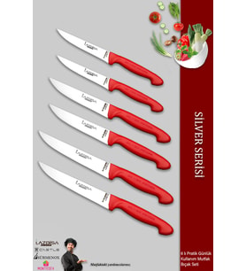 Lazbisa Silver Serisi Mutfak Bıçak Seti Et Ekmek Sebze Meyve Bıçağı 6 Lı Set Günlük Kullanım ( Mtf-216)