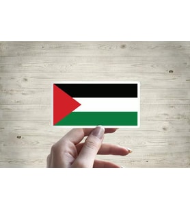 Palestine Palestinian National Flag Ulusal Bayrak 12CM 2 Adet