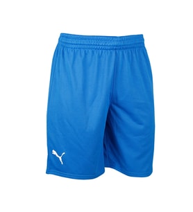 Puma Turkey Practice Short Erkek Türkiye Basketbol Şortu 60547201 Mavi