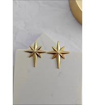 Altın Kaplama Kutup Yıldızı Çivili Küpe (Gold)