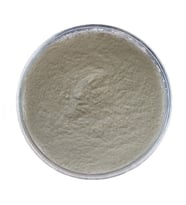 KARBOKSİMETİL SELÜLOZ (CMC) 500 GR