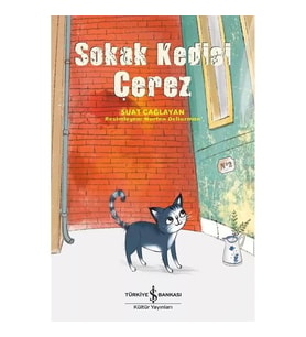 SOKAK KEDİSİ ÇEREZ