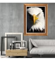 Altın Paspartulu Çerçeveli Tablo C52 (Gold)