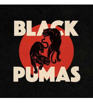 Black Pumas Black Pumas Lp Plak (Karışık)