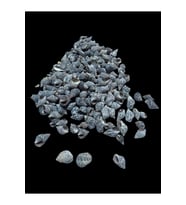 Deniz Kabukları 100 Gr NO-21-NASSADERDER