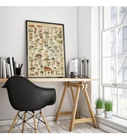 pgzzNM1722 Mantar Çeşitleri Sanatsal Poster 60x90cm.
