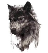 Caş Dekorasyon Kurt Figürlü Geçici Dövme Tattoo