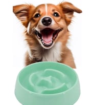 Evcil Hayvan Yavaş Mama Yeme Kabı Yavaş Besleyici Kedi Köpek Mama Kabı Orta Boy 375 ML 1450