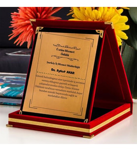 Hizmet Ödülü Plaket