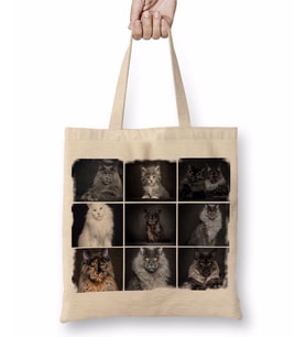 Cats Collection one Bez Çanta Uzun Saplı