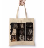 Cats Collection one Bez Çanta Uzun Saplı