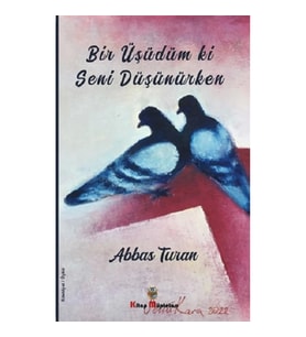 Bir Üşüdüm ki Seni Düşünürken