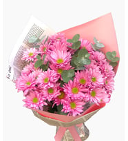 Bukette Pembe Papatyalar