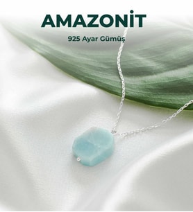 LuxtoneSertifikalı Amazonit 925 Ayar Gümüş Kolye Kadın Takı LX1340KL