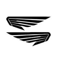 Kanatları Motor Aksesuarı Sticker 17cm