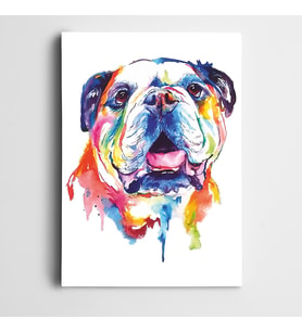 Buldog Köpek Kanvas Tablo