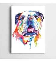 Buldog Köpek Kanvas Tablo