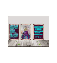 Trabzon Çocuk Taraftar Temalı 3 Adet 20 x 30 CM MDF Tablo SET