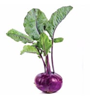 Fidanistanbul Mor Alabaş Tohumu Kohlrabi Paketli 1 Gr.