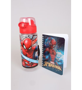 LİSANSLI 500 ML TRITAN SULUK VE NOT DEFTERİ SETİ