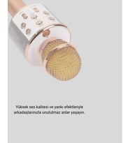 Karaoke Mikrofonu Usb Aux Girişli Yankı Efektli