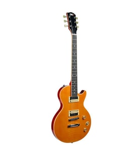 Dmx Guitars DALP100 A Slash AFD Les Paul Elektro Gitar (Taşıma Çantası Hediyeli)