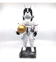 BY ARİ BULLDOG ASTRONOT BİBLO BB336-1