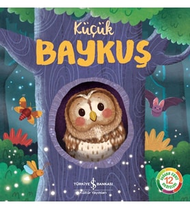 Küçük Baykuş