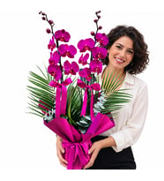 MOR ORKİDE TASARIMI