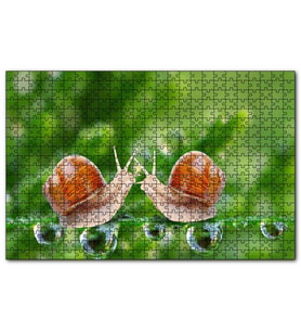 Cakapuzzle Salyangozlar Karşılaşması Yeşil Damlacıkları Görseli Puzzle Yapboz MDF (Ahşap) (120 Parça)