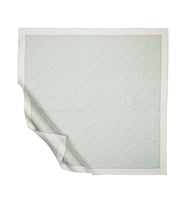 Mint Yeşili İpekevi İpek Eşarp 1119